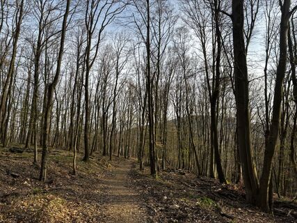 Foto de Reti Alicia a lo largo del recorrido