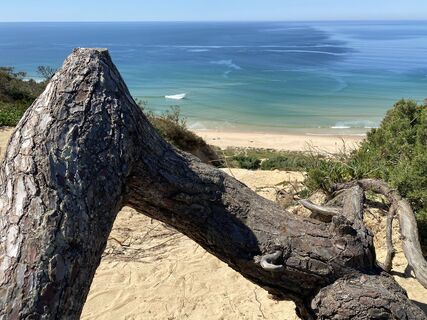 Foto von Ursula Müller 1 entlang der Tour