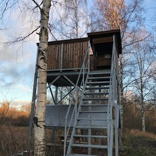 Der Aussichtsturm des Naturzentrums Iso-Äiniö
