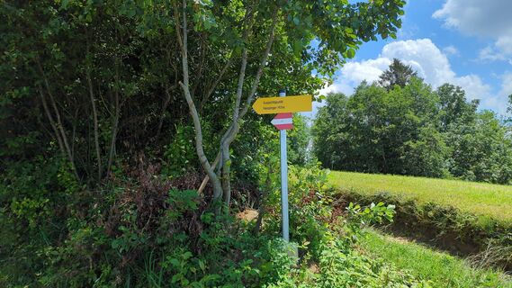 Fotografija s spletne strani AndreasD na poti