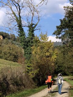 Foto da Andrea Morotti lungo il tour