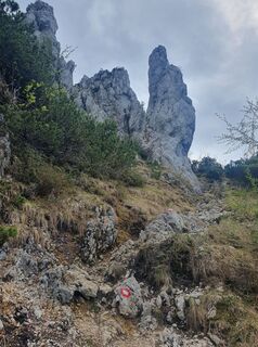 Photo de Mustafa Idrizović le long du parcours