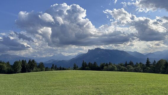 Foto von Mountain Cat ? ⛰️ entlang der Tour