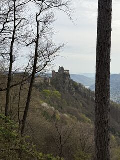 Photo de Isolde Höller le long du parcours