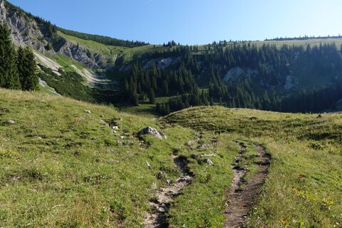 Photo de Skip le long du parcours