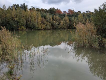 Fotografija s spletne strani Matje Derks na poti