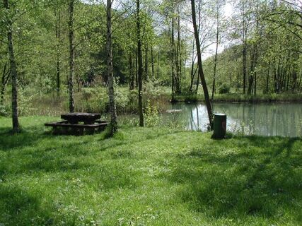 Zemljevid