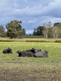 Fotografie de la Cyrill Bischof de-a lungul turului