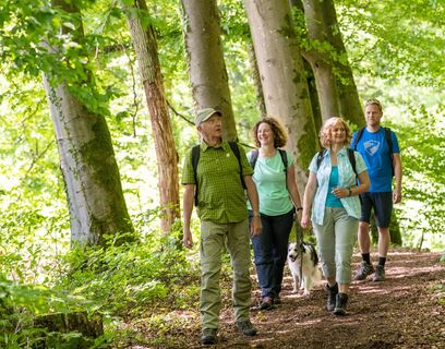 Wanderer im Wald oberhalb von Wolfersheim