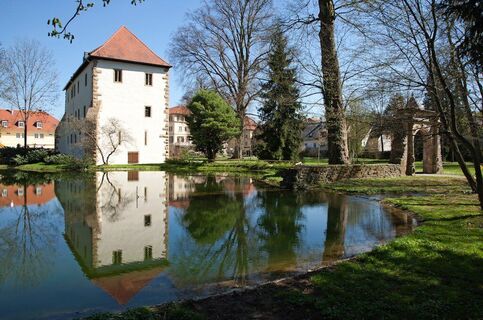 Schlosspark in Neckarbischofsheim