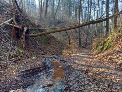 Zdjęcie z Wollomator wzdłuż trasy