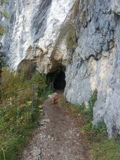 Photo from Monika Korsitzke along the tour
