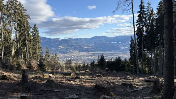 Zdjęcie z Markus F. Schaffer wzdłuż trasy