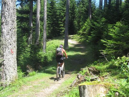 Herlich zum Biken