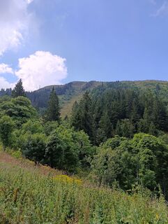 Foto från Florian Endres under resans gång