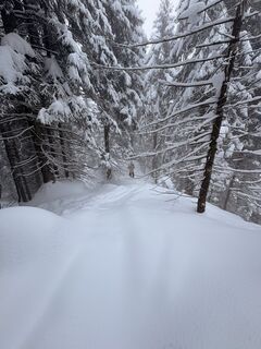 Foto de Timon Baum a lo largo del recorrido