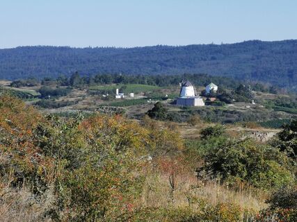 Mittelbergweg mit Blick auf Retzer Windmühle