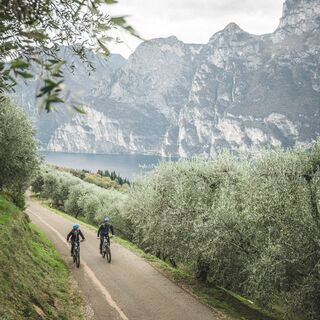 Aufstieg zum Monte Brione