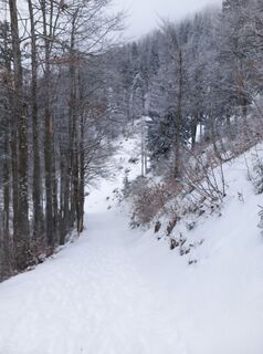 Photo de Lehel Antal le long du parcours