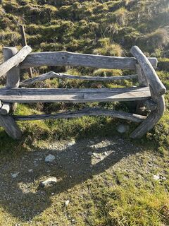 Fotografia z Carola Krems na trase