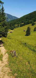 Fotografija s spletne strani mike wm na poti