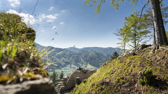 Hohenwaldeck
