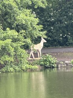 Zdjęcie z Harald Engel wzdłuż trasy