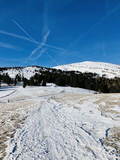 Zdjęcie z Andreas Steinkellner 4 wzdłuż trasy