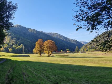 Fotografia z Gabi Köberl na trase
