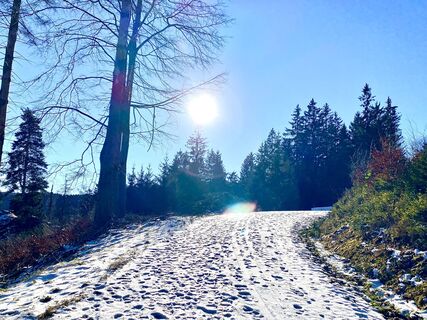 Foto de Arthur Muskalla a lo largo del recorrido