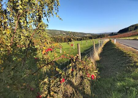 Rabenwald-Straße, Apfelland-Stubenbergsee in der Oststeiermark