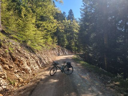Fotografia z Grizli na trase
