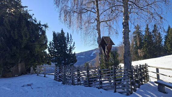 Foto von Horst Ditjo entlang der Tour