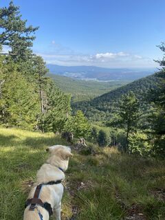 Fotó a Sonja honlapról a túra során