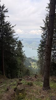 Foto von Semir Brzovic entlang der Tour