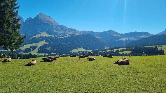 Foto von Michael Sparlund entlang der Tour