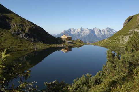 IB_S_BASIC_COPYRIGHT =