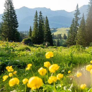 Churfirsten Trail Run