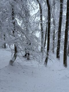 Fotografie z Rene Bakker na trase
