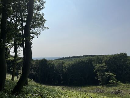 Foto von Klaudia Szuromi entlang der Tour