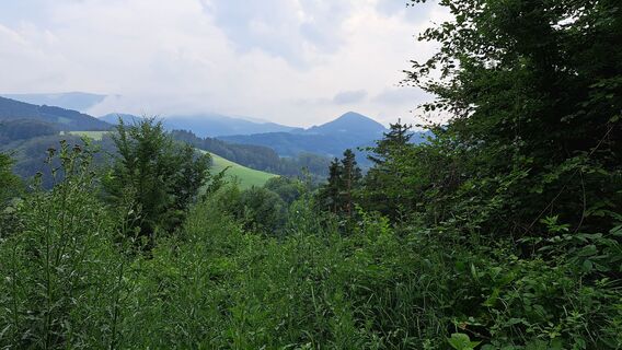 Unterzögernitz Zufahrt