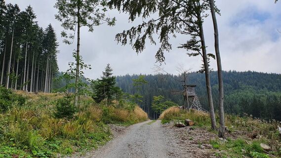 10.1 km "Durchgang"