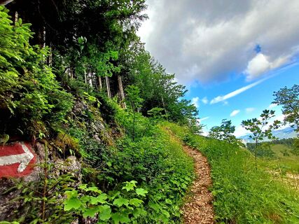Foto från Hochreiter Anita under resans gång