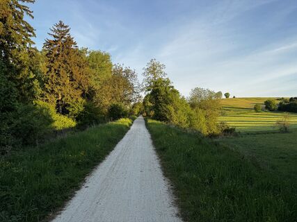 Photo de Schaali le long du parcours