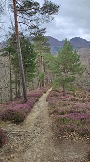 Photo de Peter Bertoncelj le long du parcours