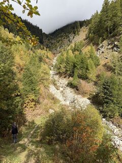 Foto von Joemeier entlang der Tour