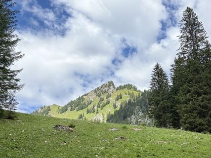 Photo de Norbert Herbig le long du parcours