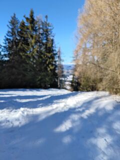 Foto von Sabine Kriebernegg entlang der Tour