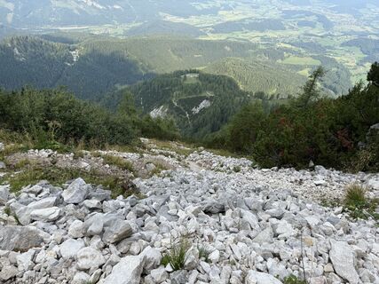 Foto von Natur_erleben_dg entlang der Tour