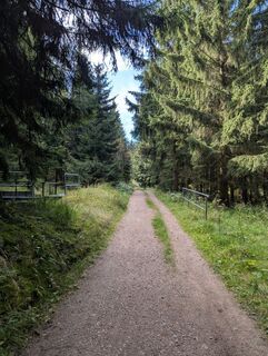 Fotografija s spletne strani dgerber na poti